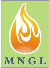 Integrity Asset Management System at MNGL